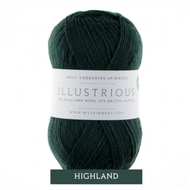West Yorkshire Spinners - Illustrious DK Yarn - 70% Falkland Wool 30% British Alpaca - Highland - 100g