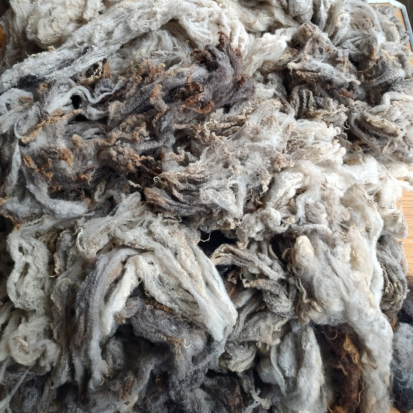 Shetland Fleece (first clip) - 100g
