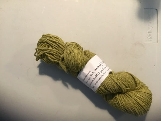 A Wing and a Bear - Plant-Dyed DK Wool - Weld and Dyer's Chamomile - 100g