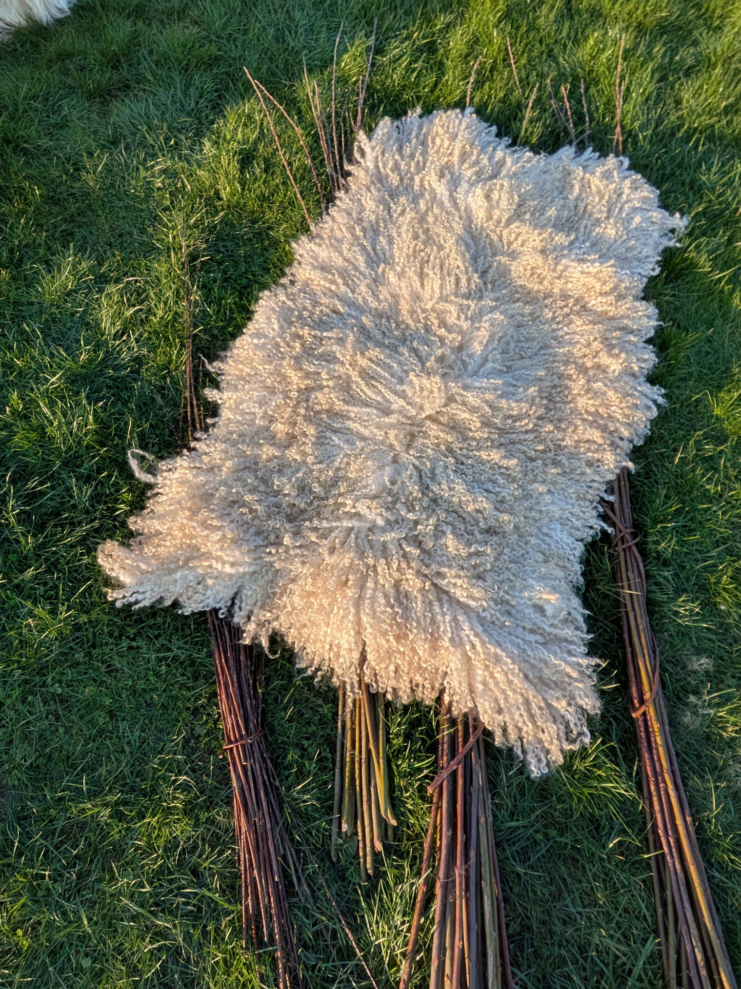 5. White Wensleydale Rug (142 cm x 86 cm)