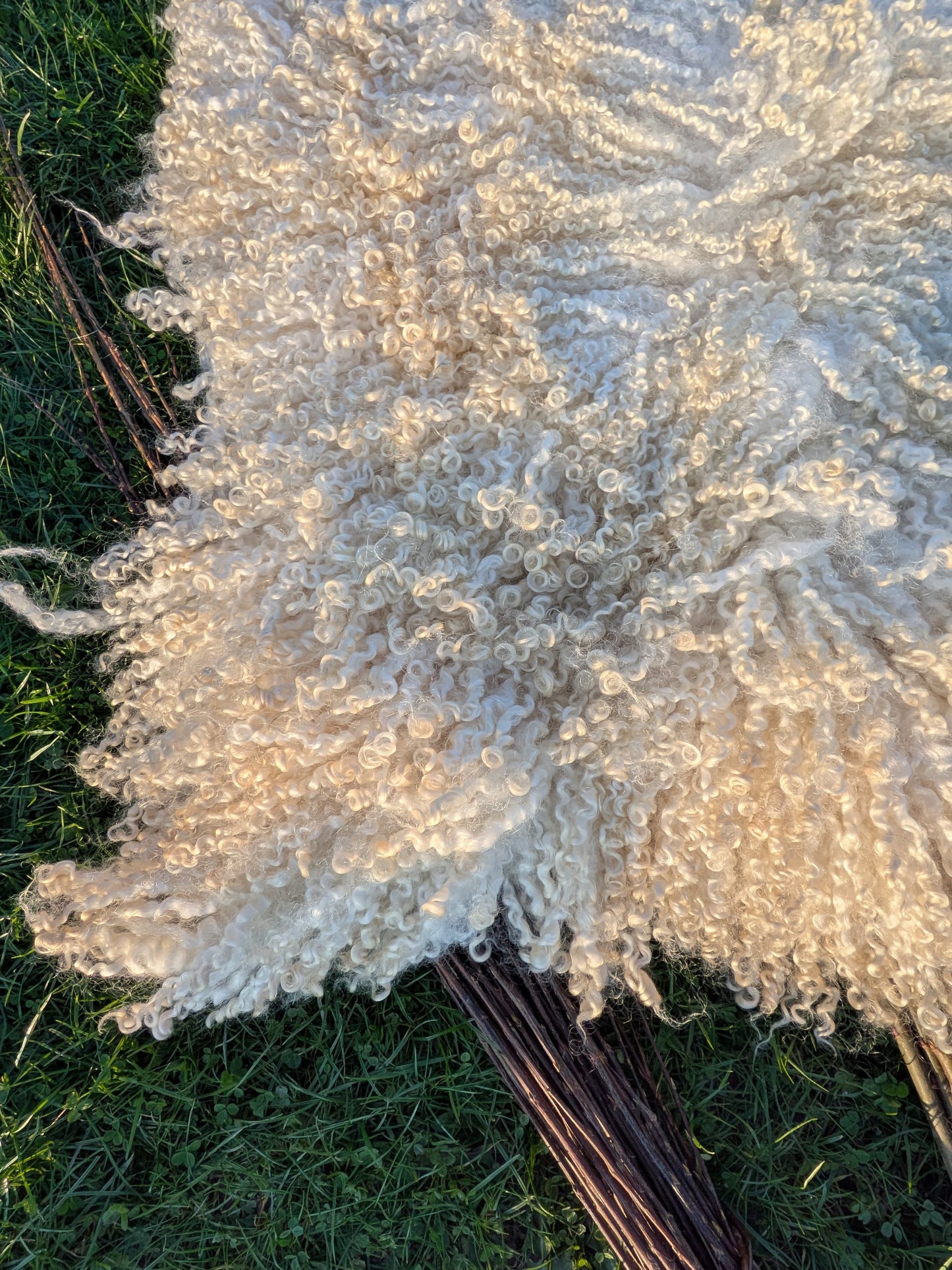 5. White Wensleydale Rug (142 cm x 86 cm)