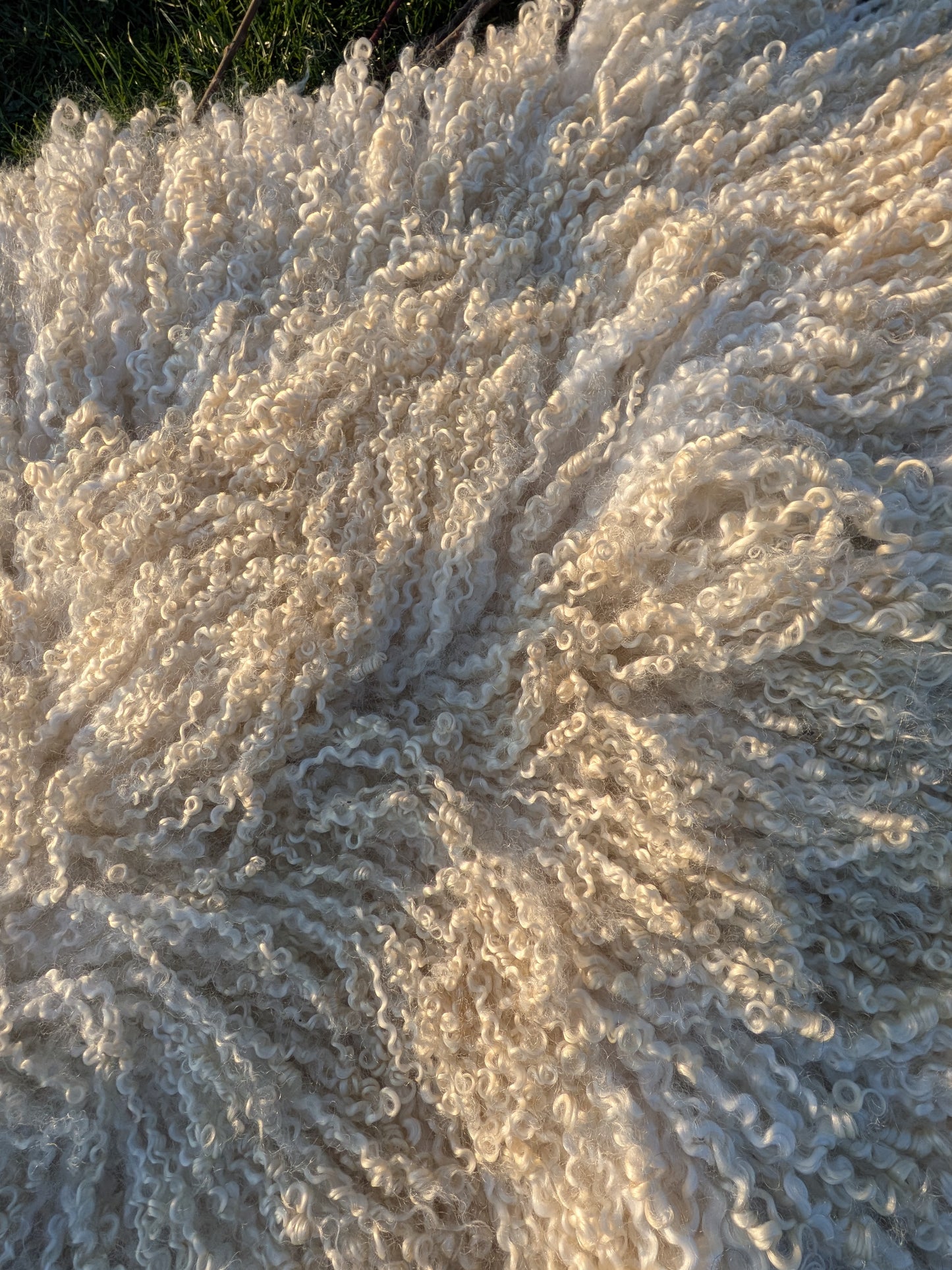 5. White Wensleydale Rug (142 cm x 86 cm)
