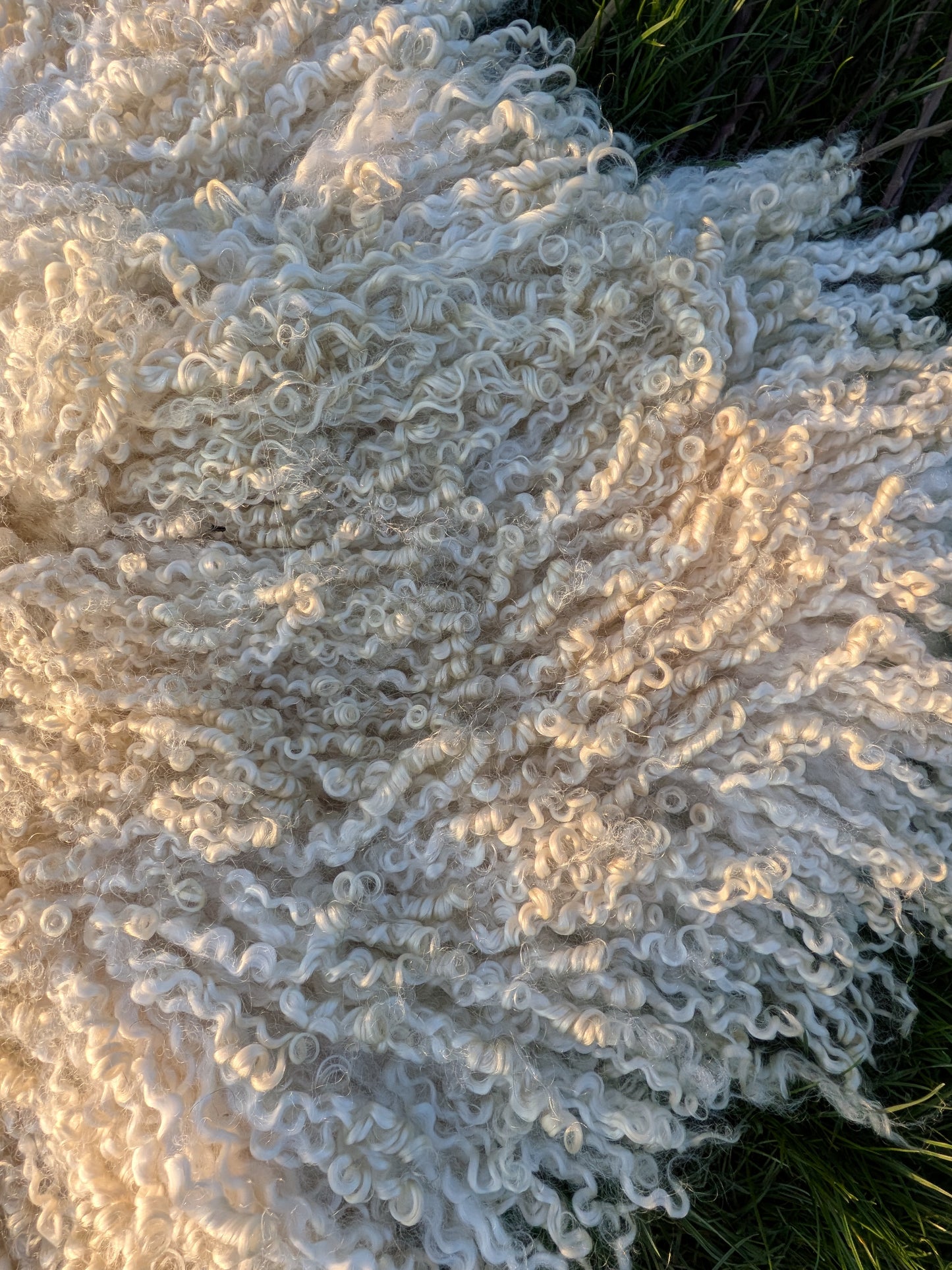 5. White Wensleydale Rug (142 cm x 86 cm)