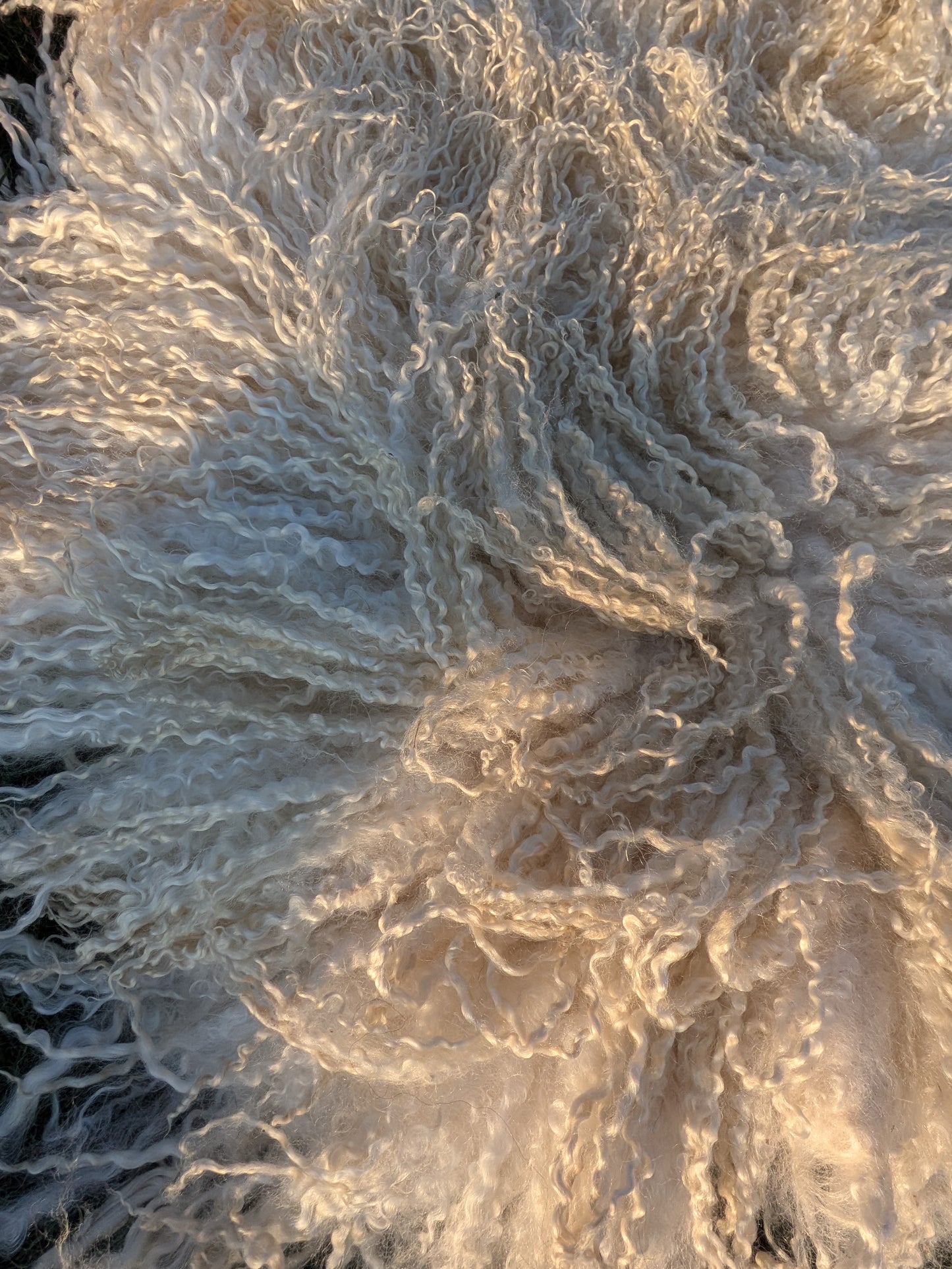 4. White Wensleydale Rug (145 cm x 100 cm)