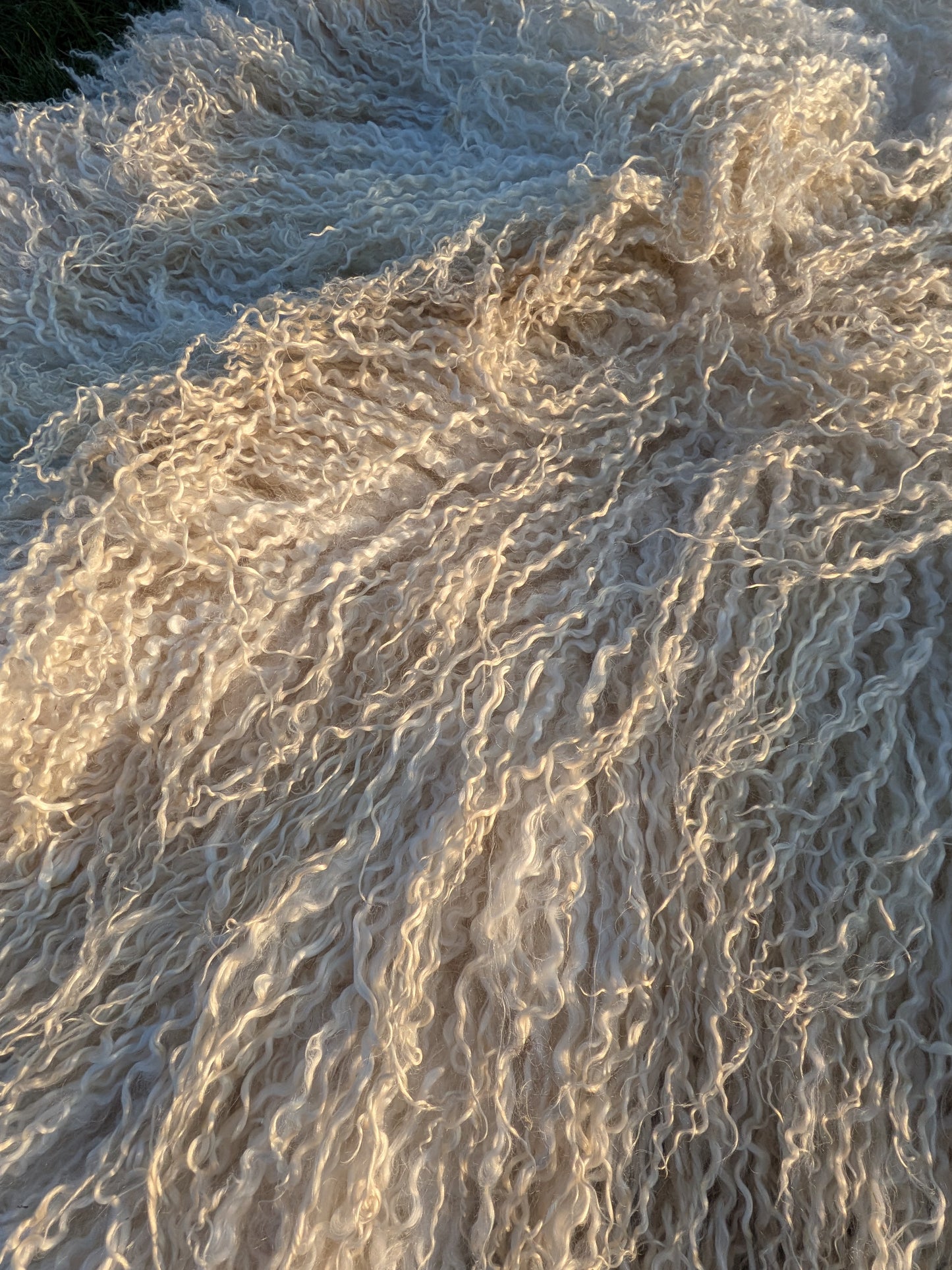 4. White Wensleydale Rug (145 cm x 100 cm)