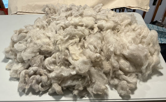 Ryeland Fleece - 100g