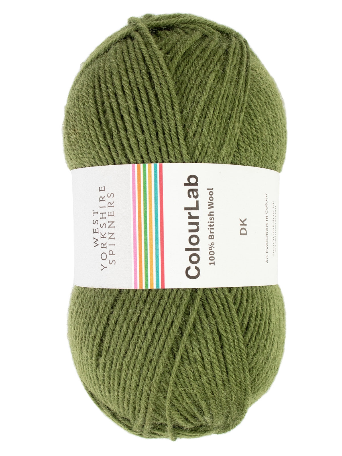 West Yorkshire Spinners - ColourLab DK Yarn - Fern Green - 100g