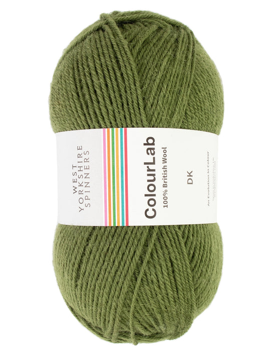 West Yorkshire Spinners - ColourLab DK Yarn - Fern Green - 100g