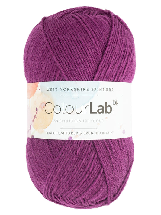 West Yorkshire Spinners - ColourLab DK Yarn - Perfectly Plumb - 100g
