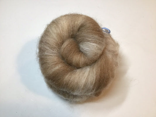 Auspicious Stitch - Biscuit Batt for Spinning - 100% Shetland - 60g