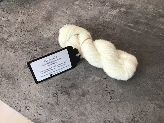 Spinning Through Time - Lleyn - 100% Lleyn wool - 22g