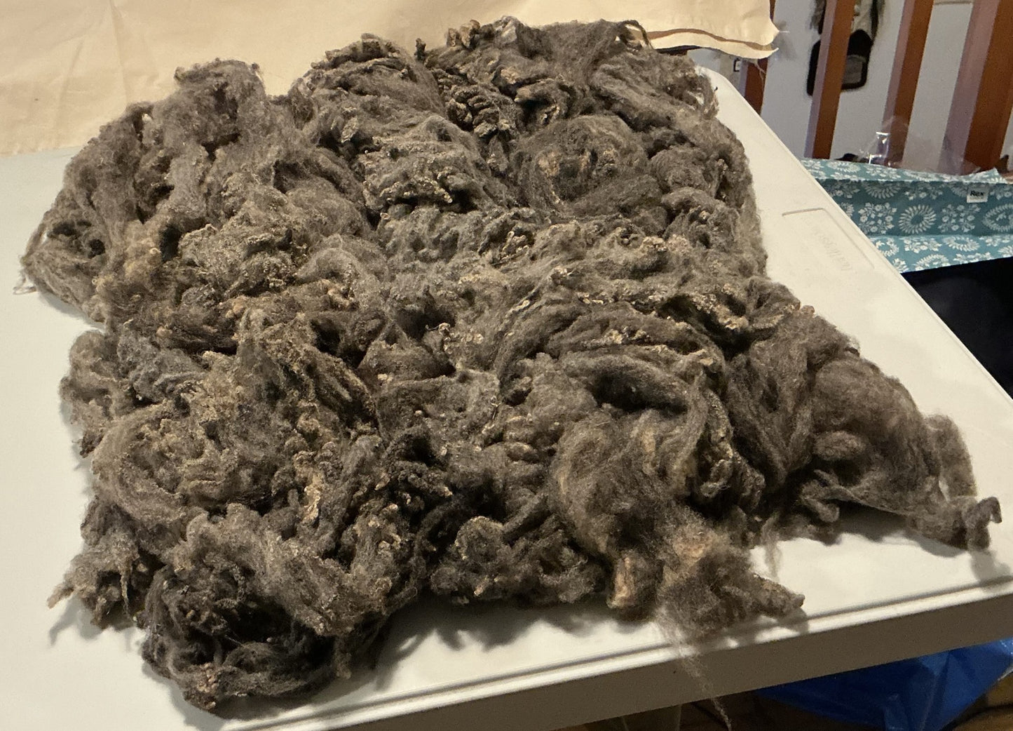Katmoget Shetland Fleece (first clip) - 100g