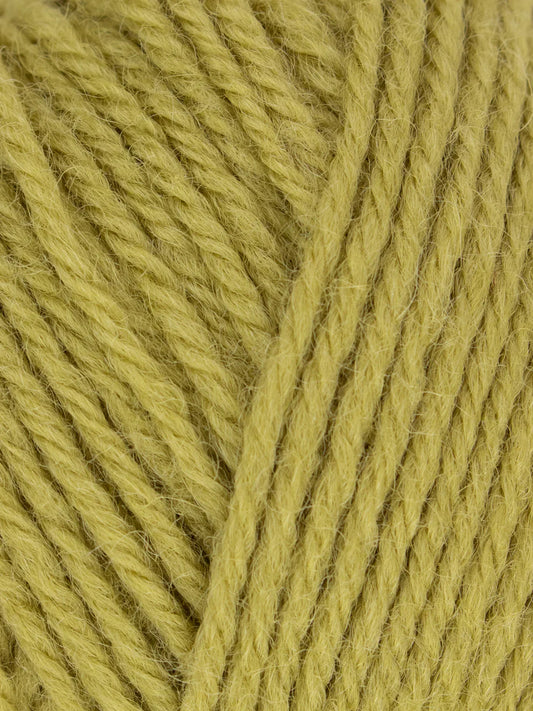 West Yorkshire Spinners - Morris DK Yarn - Artichoke - 50g