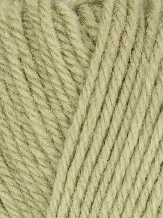 West Yorkshire Spinners - Morris DK Yarn - Orchard - 50g