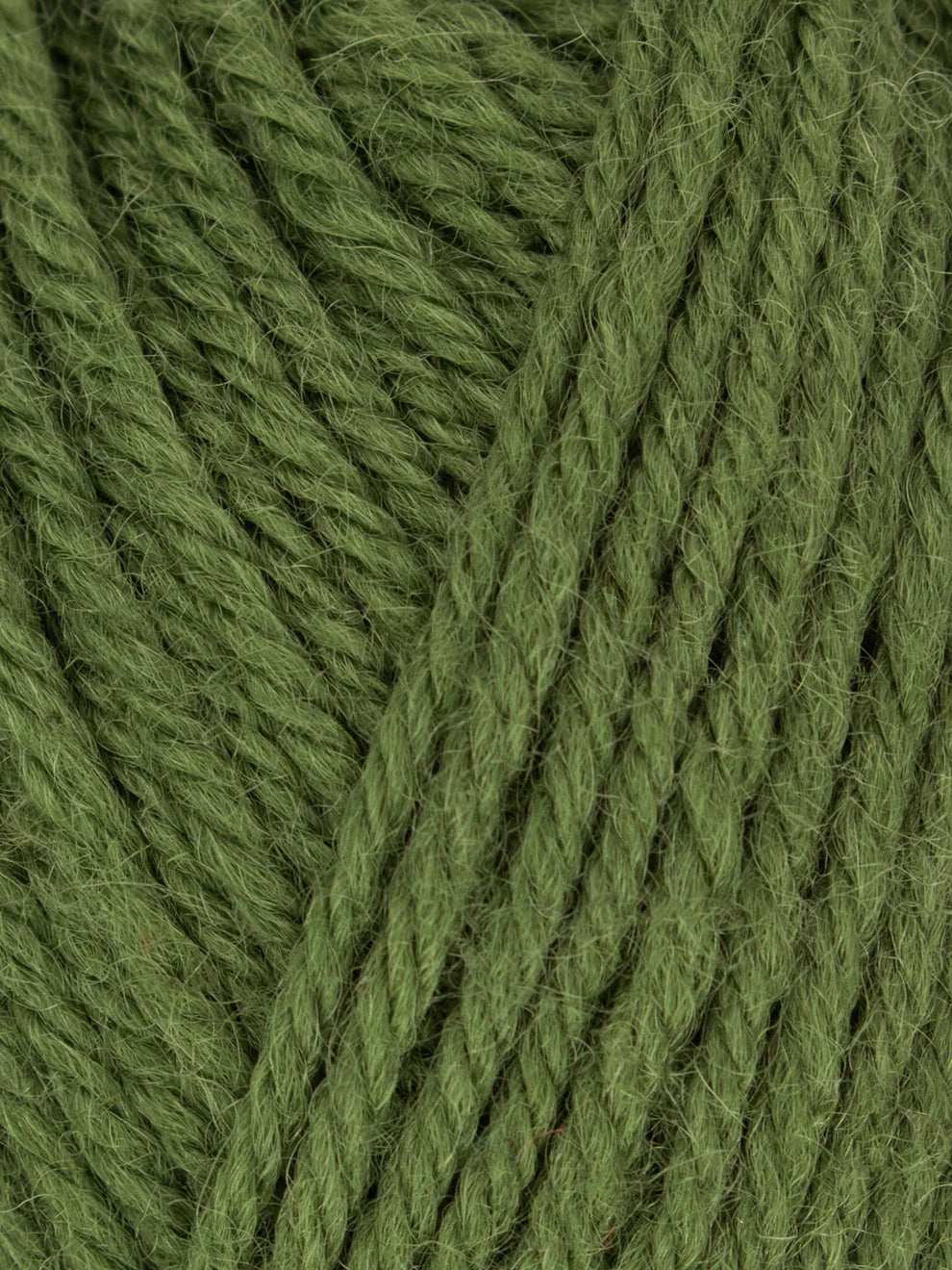 West Yorkshire Spinners - Morris DK Yarn - Yew - 50g