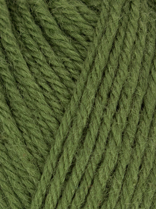 West Yorkshire Spinners - Morris DK Yarn - Yew - 50g